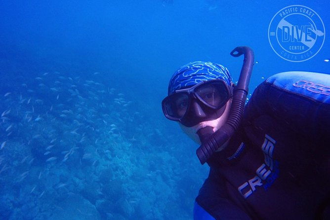 snorkeling-at-catalina-islands-north-island-cr