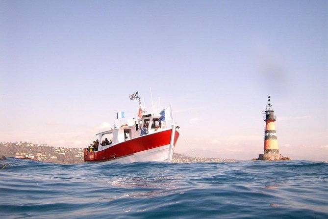 snorkeling-by-boat-on-site-in-the-bay-of-cannes-or-esterel-2