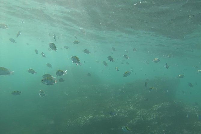snorkeling-costa-rica