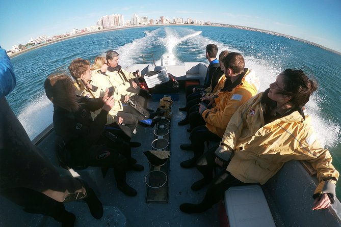 snorkeling-with-sea-lions-and-wildlife-adventure