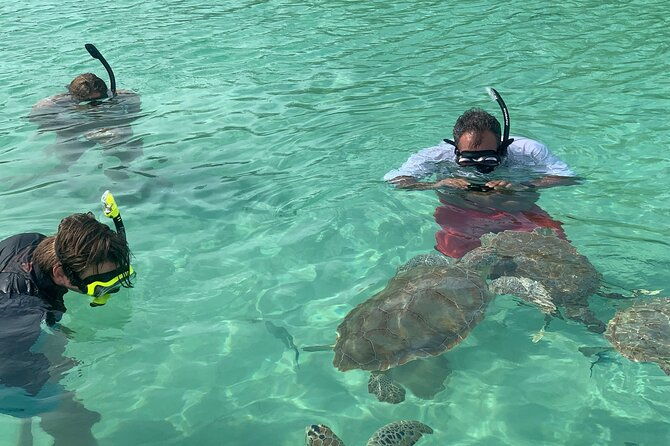 snorkeling-with-the-turtles