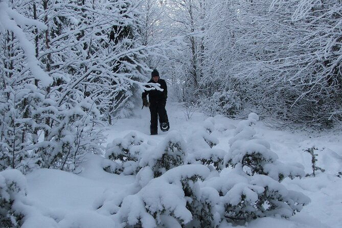 snowshoe-in-a-winter-forest