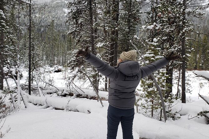 snowshoe-or-xc-ski-in-north-yellowstone-half-day