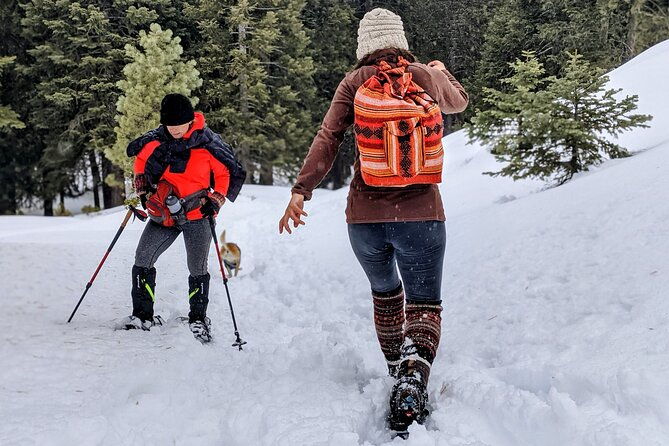 snowshoe-tour-big-bear-lake-with-hot-chocolate