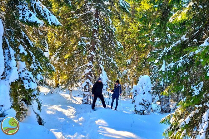 snowshoeing-fun-tour-from-cluj-napoca