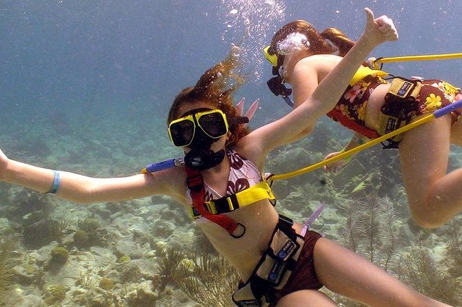 snuba-adventure-at-coral-world-ocean-park