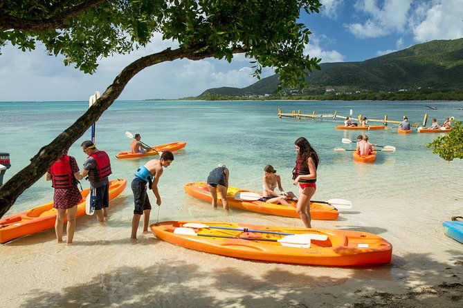 socoho-eco-half-day-mangrove-kayak-reef-snorkeling