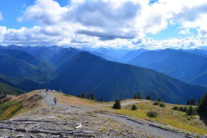 sol-duc-lake-crescent-and-hurricane-ridge-guided-tour-in-olympic-national-park