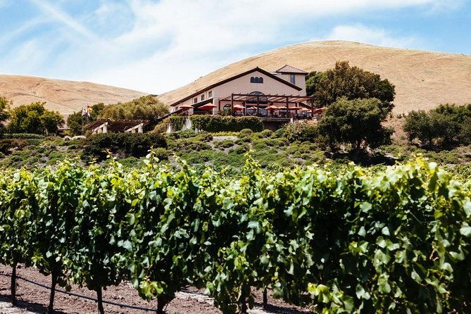 sonoma-napa-8-hr-private-wine-tour-with-customization-xl-suv-2