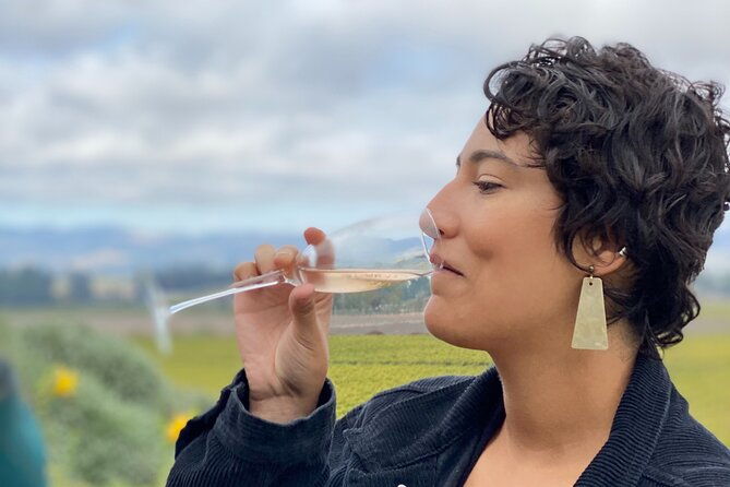 sonoma-valley-sidecar-wine-tours-2