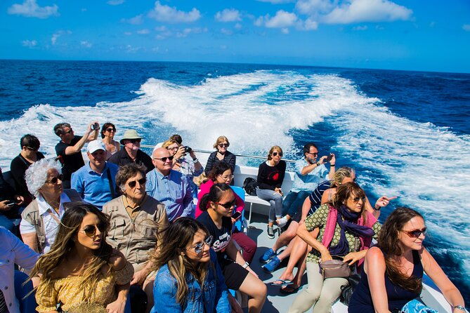 sorrento-capri-minicruise-daily-ticket