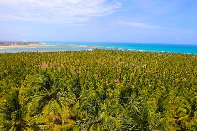 south-coast-french-or-barra-de-sao-miguel-and-gungagte-tours