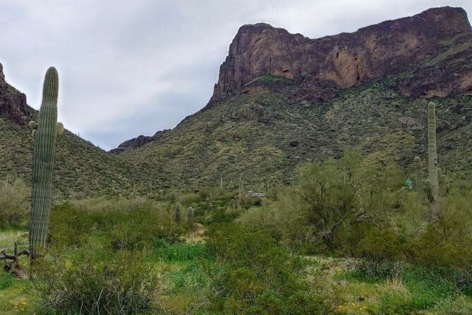 southern-arizona-full-day-historical-tour-from-phoenix-private-tour