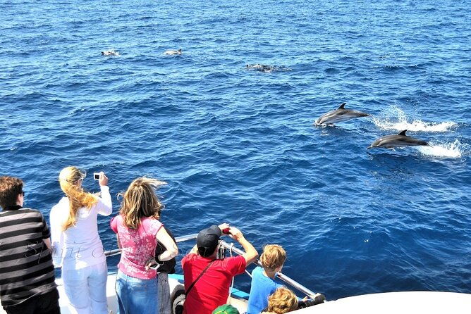 spirit-of-the-sea-cetacean-sighting-in-gran-canaria
