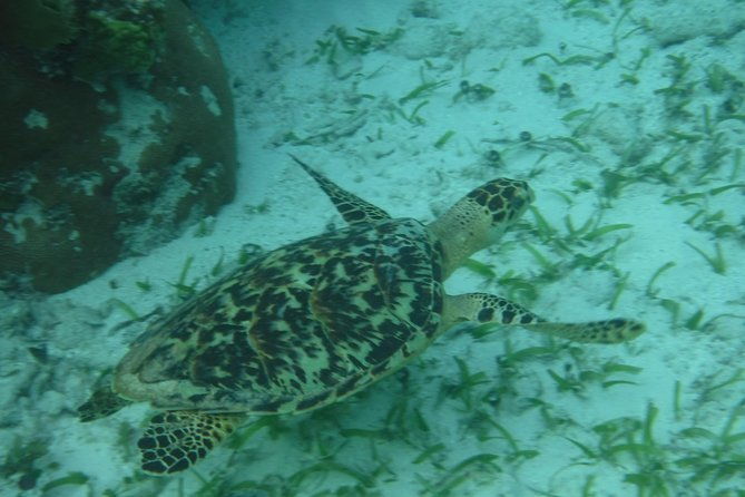st-john-surrounding-cays-full-day-sail-snorkel-all-inclusive