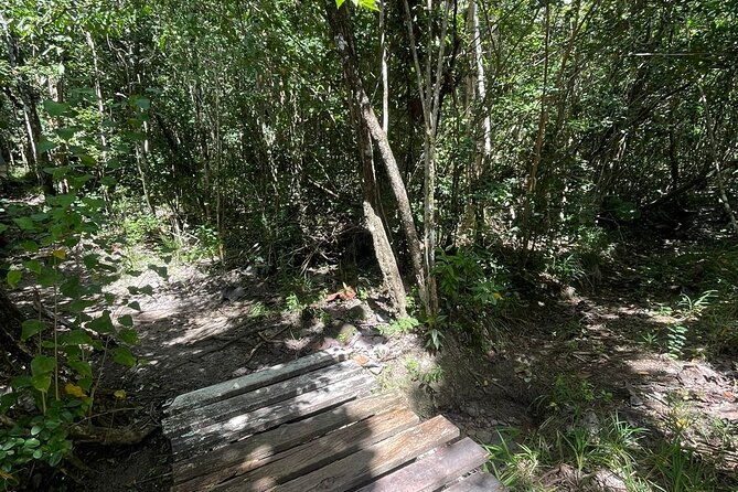 st-lucia-billy-goat-trail-hike-in-marigot-bay-saint-lucia