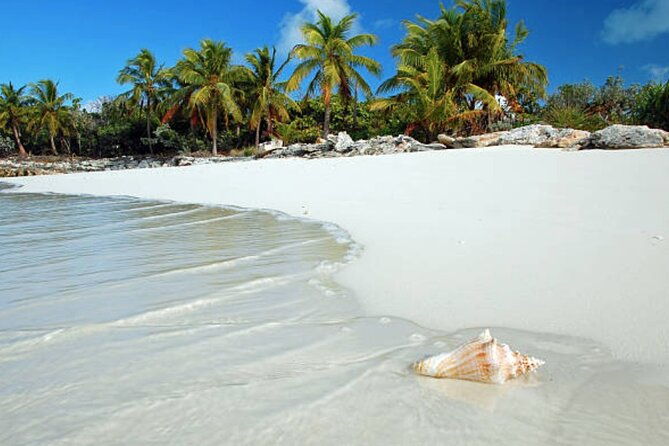 st-maarten-shore-excursionsights-shopping-sand-small-group-tour