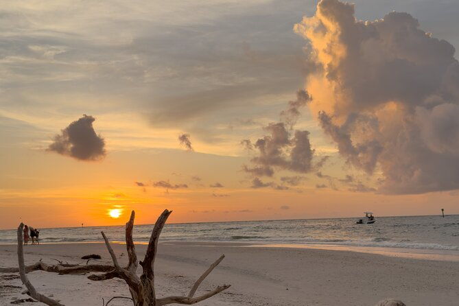 st-pete-dolphin-watching-and-island-sunset-cruise