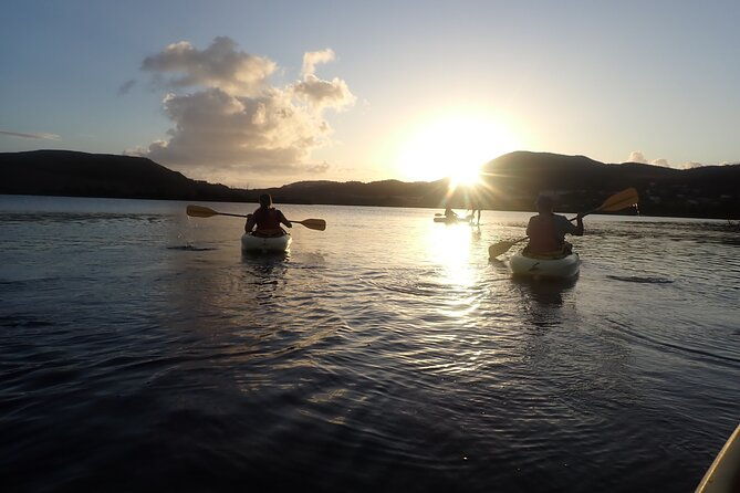 st-thomas-night-kayak-tour