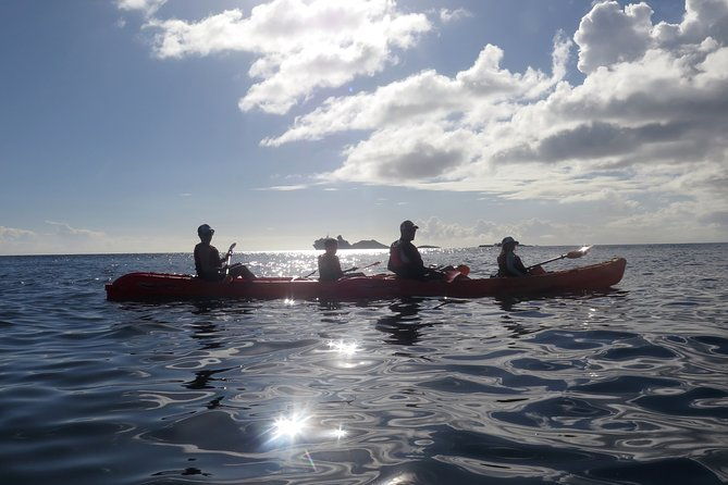 st-thomas-sea-turtle-snorkel-kayak-adventure-tour