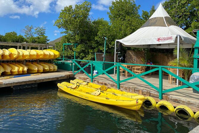 st-thomas-shore-excursion-mangrove-lagoon-kayak-and-snorkel-tour