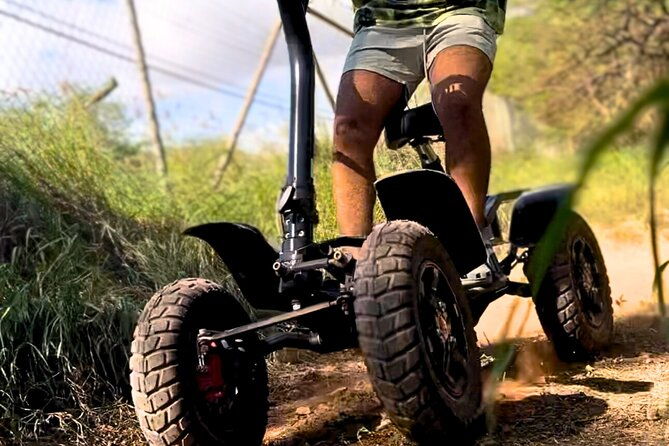 stand-up-atv-adventure-in-kapolei