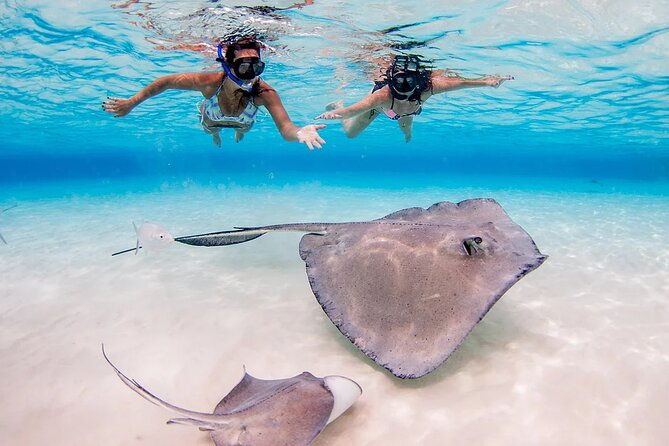 starfish-and-stingray-city-fun-tour-with-reef-snorkeling-3-stops-2