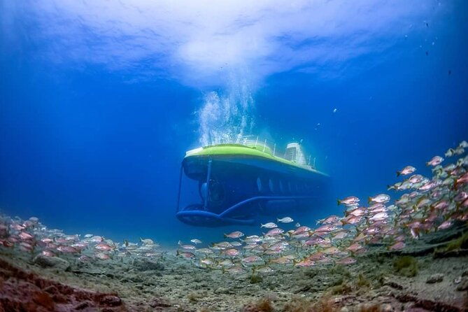 submarine-adventure-submarine-excursion-in-puerto-de-mogan