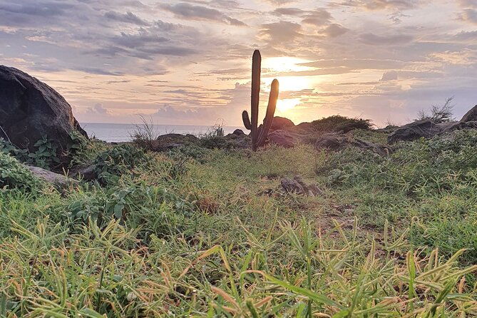 sunrise-tour-to-natural-pool-and-arikok-park