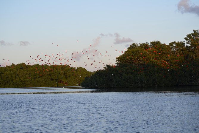 sunset-boat-tour-into-caroni-wetlands