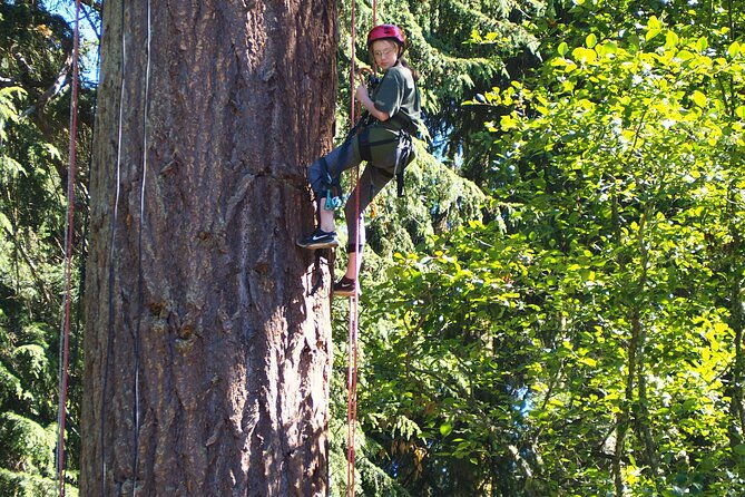 sunset-canopy-climb-on-lopez-island
