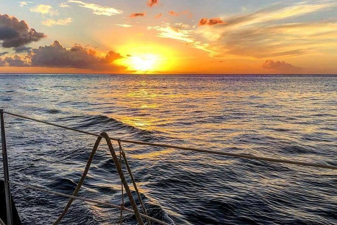 sunset-champagne-cruise-on-a-classic-schooner-with-boat-dogs