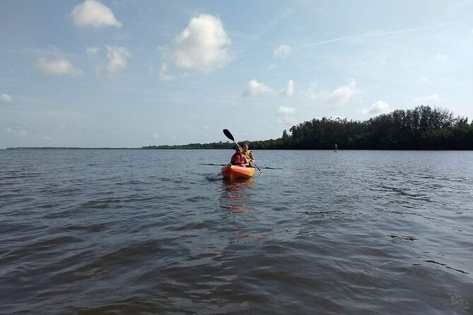 sunset-kayaking-tour-at-manatee-cove-with-manatee-dolphin-sightings-2