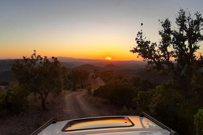 sunset-safari-4h