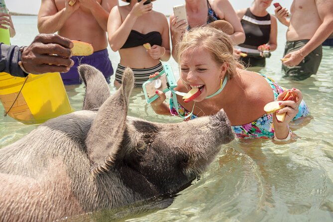 swim-with-famous-pigs-at-rose-island