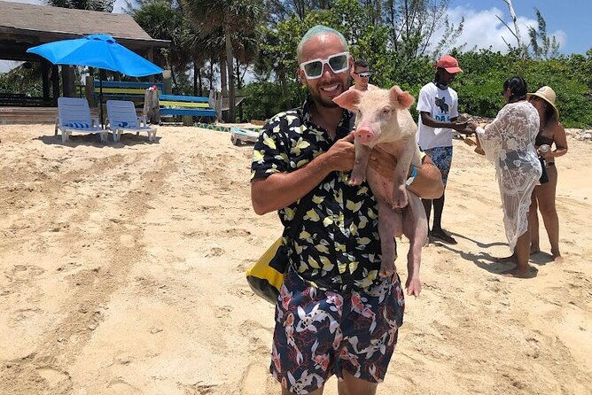 swim-with-the-pigs-and-explore-caves-in-nassau