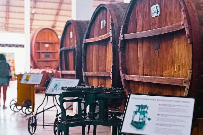 tacama-wine-experience-and-pisco-museum-and-pisco-sour-class