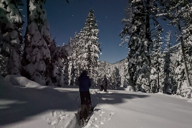 tahoe-national-forest-moonlight-snowshoe-tour-under-a-starry-sky