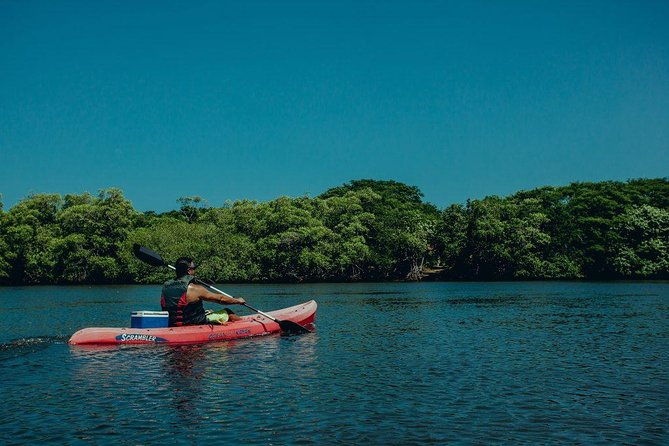 tamarindo-kayak-estuary-mangrove-tour