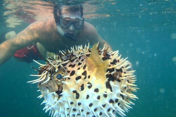 tamarindo-kayaking-tour-with-snorkeling-at-captain-island