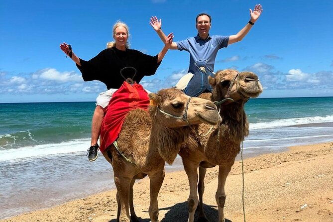 tangier-luxury-private-day-tour-from-tarifa-including-camel-ride