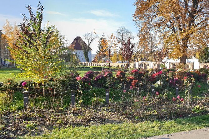 targu-mures-3-hours-walking-tour