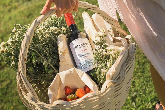 tasting-in-two-wineries-full-lunch-transfer-included