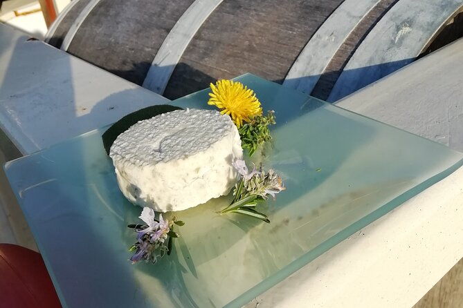 tasting-of-seaweed-cheeses