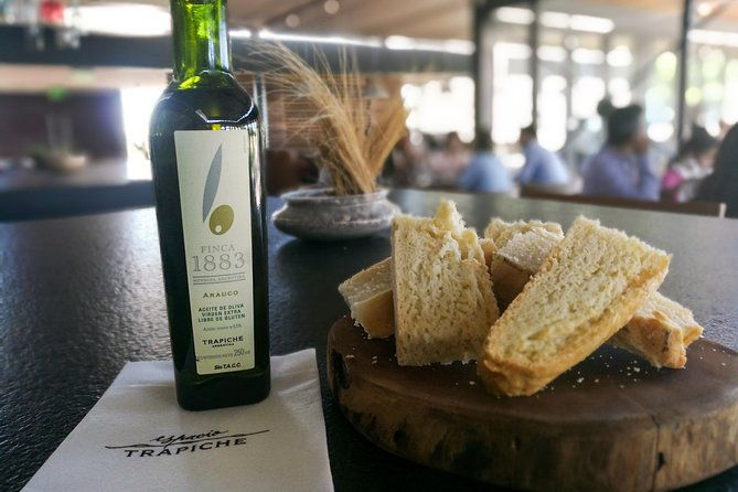 tastings-and-lunch-in-maipu-one-of-the-oldest-regions-of-mendoza