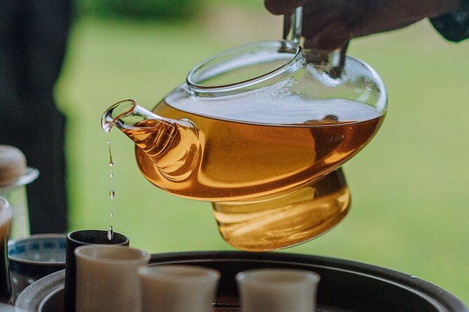 tea-farm-tour-in-the-rainforest-overlooking-the-pacific
