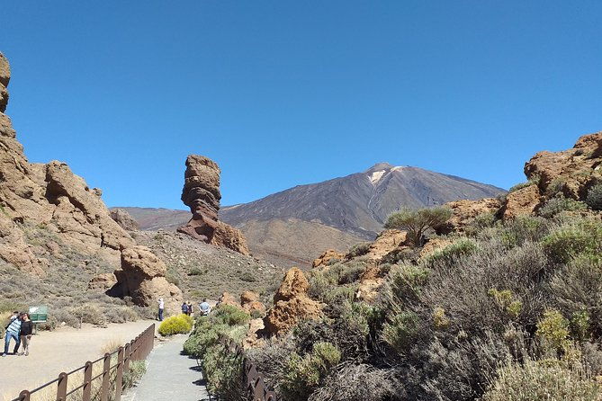 teide-essential-shore-excursion-vip-tour