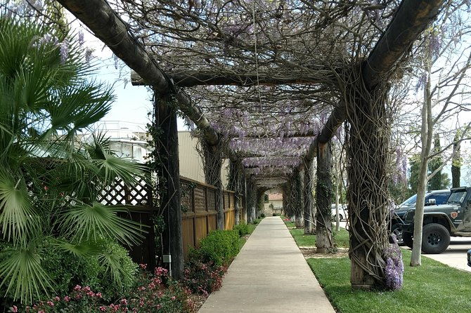 temecula-valley-wineries-and-vineyards-drink-and-taste-tour-from-orange-county