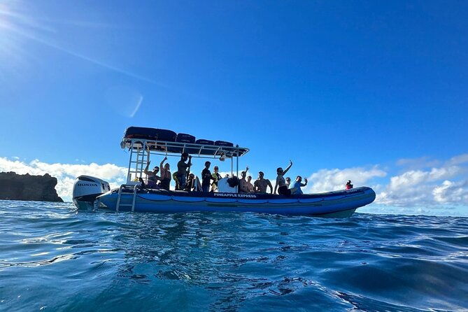 the-best-2-5-hour-molokini-snorkel-tour-whale-watch-2