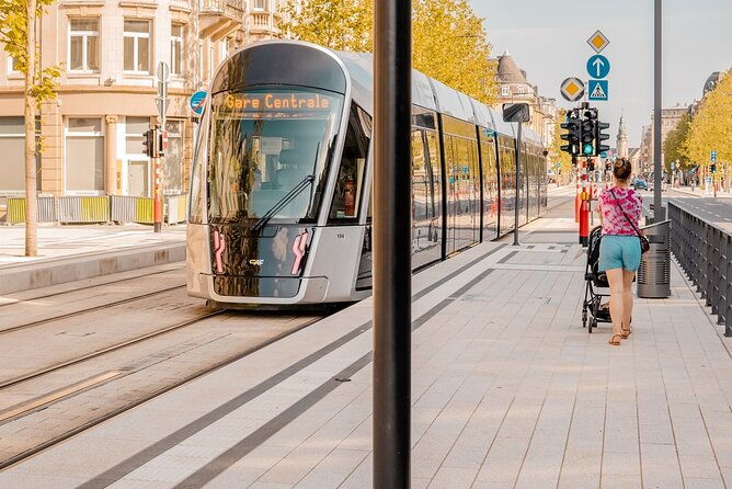 the-best-of-3-hours-walking-tour-in-luxembourg-2
